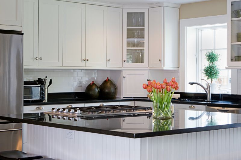 Countertop Remodeling in Lake County, IL